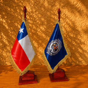 Banderín logo Institucional PDI